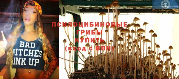 мескалин Коряжма