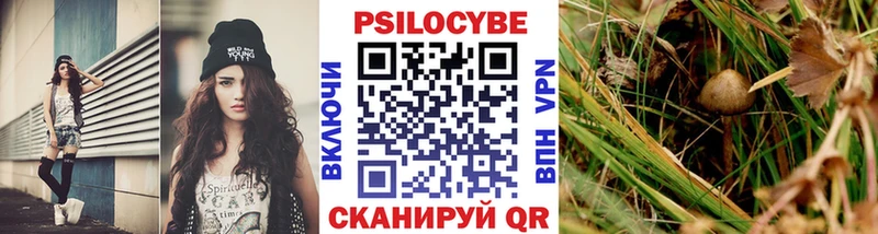 Галлюциногенные грибы Cubensis  Купить  Ирбит 